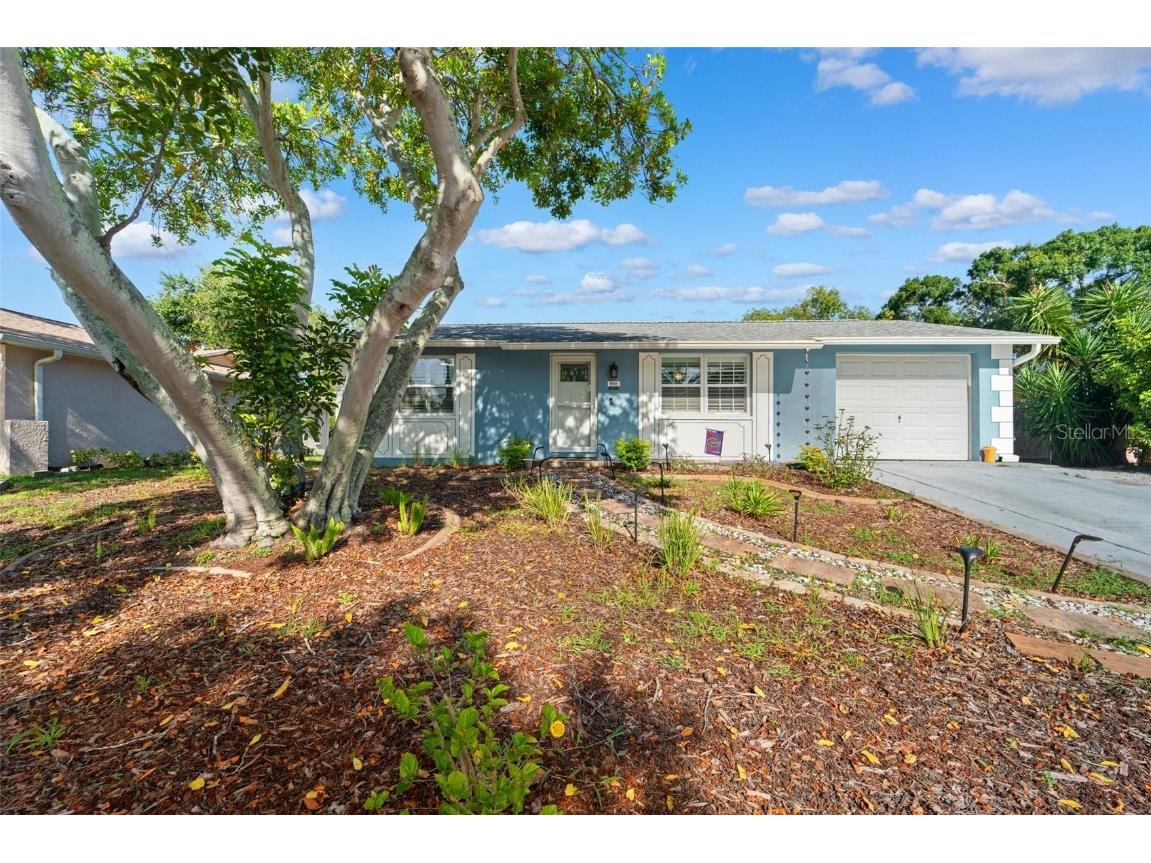 908 Toddsmill Trace Tarpon Springs FL 34689 TB8404505 image1