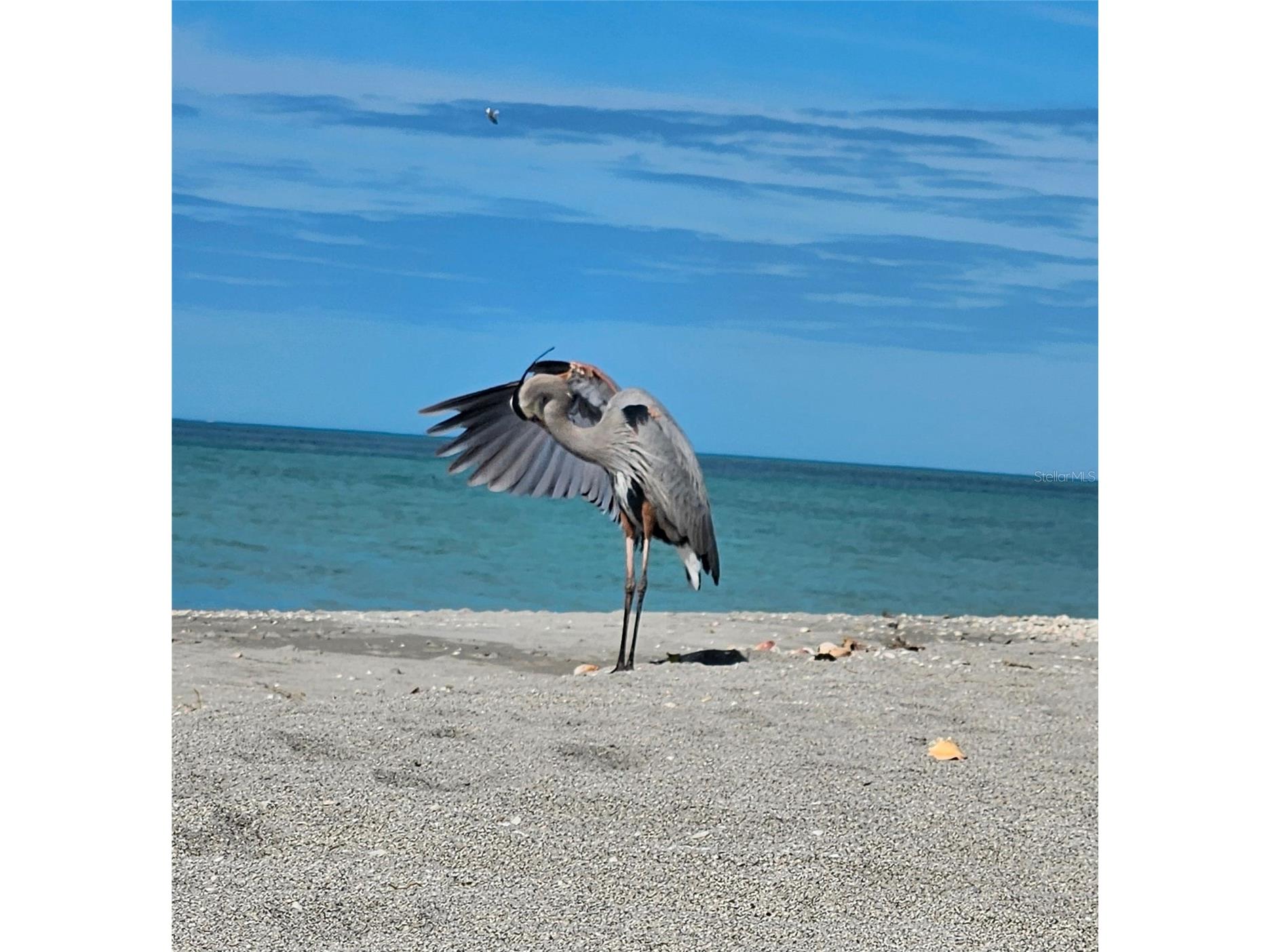 908 Villas Drive #14 Venice FL 34285 - GULF OF AMERICA N6144460 image25