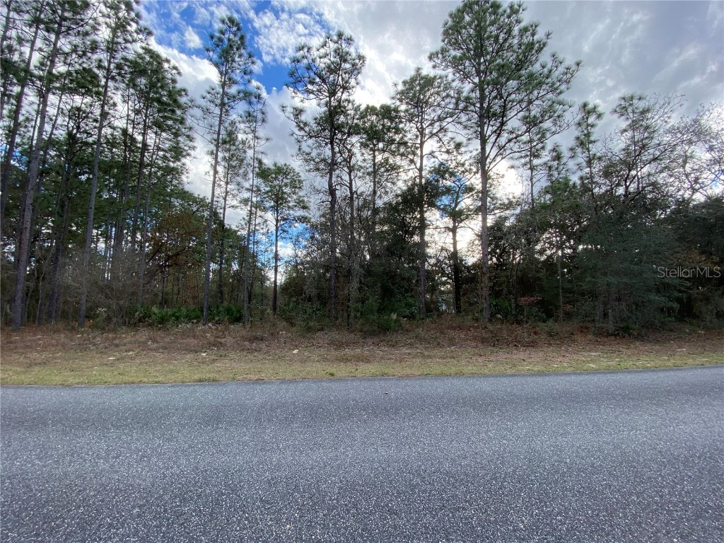 908 W Ludlum Street Citrus Springs FL 34434 O6083650 image1