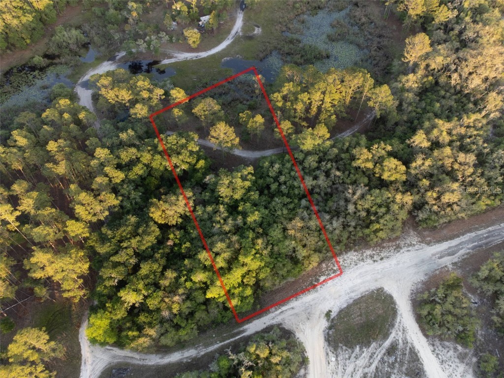 9080 Coldrock Drive Webster FL 33597 W7865363 image1