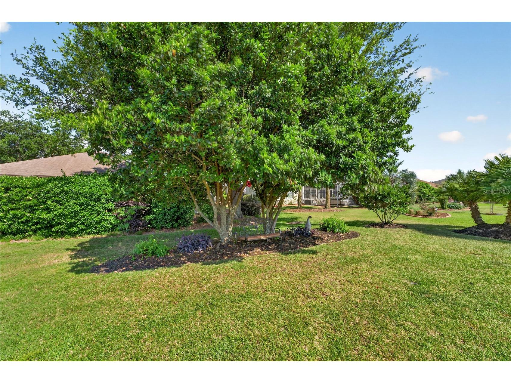 9082 SE 120th Loop Summerfield FL 34491 O6403283 image7