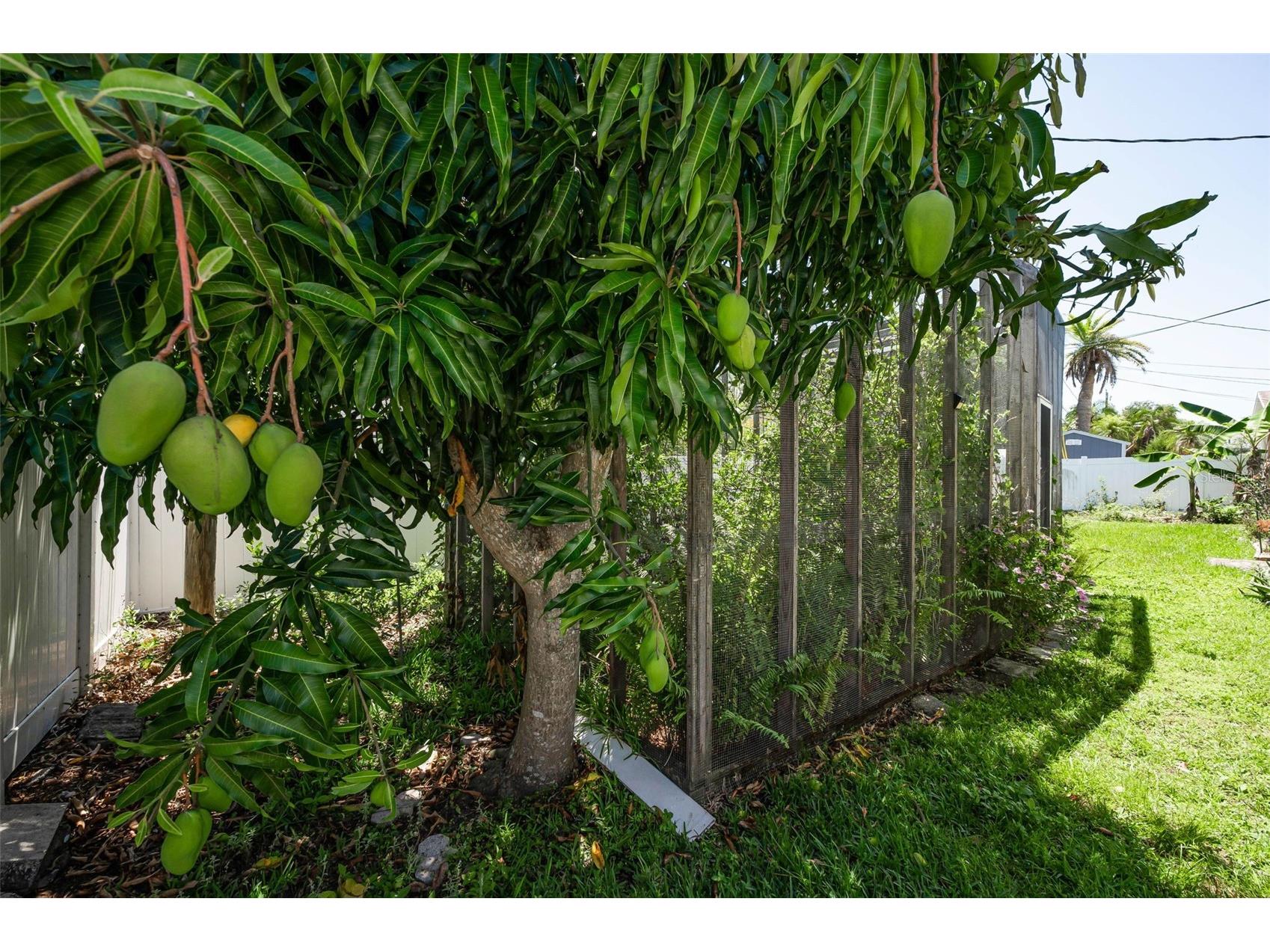 9083 Briarwood Drive Seminole FL 33772 TB8509777 image28