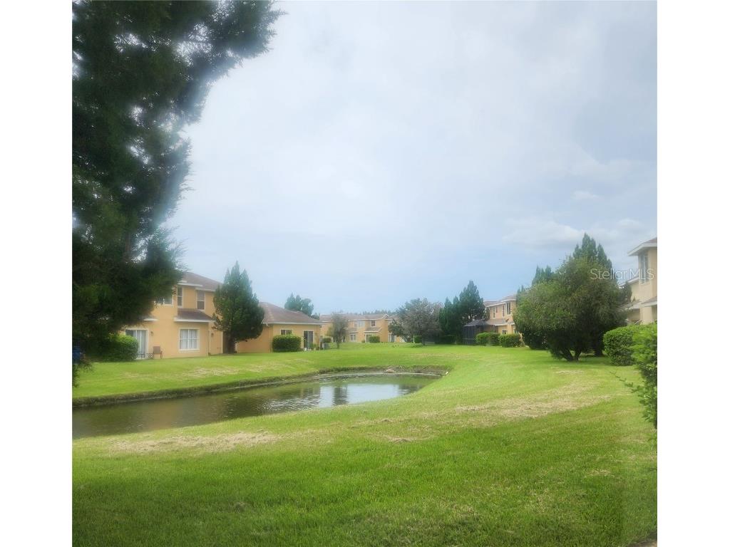 9084 Iron Oak Avenue Tampa FL 33647 TB8424516 image2