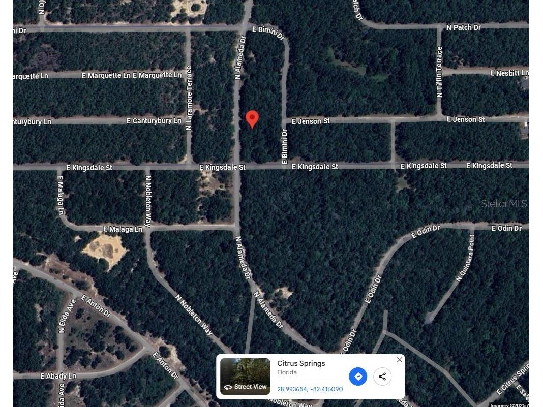 9085 N Alameda Drive Citrus Springs FL 34434 OM725350 image2