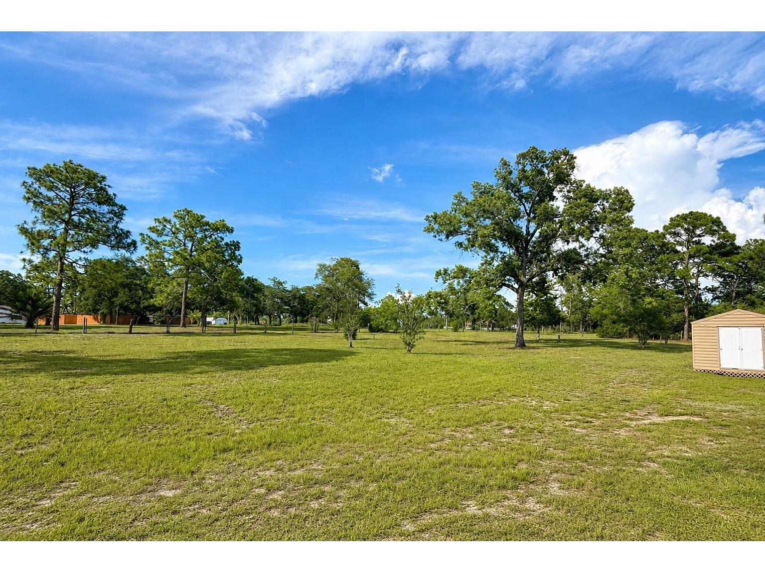 9086 Grove Road Brooksville FL 34613 TB8510559 image17