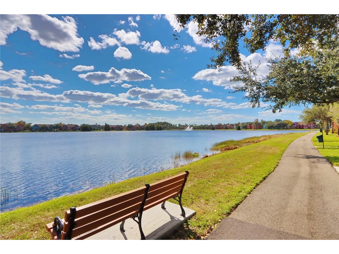 9088 Lake Chase Island Way #9088 Tampa FL 33626 TB8456334 image19