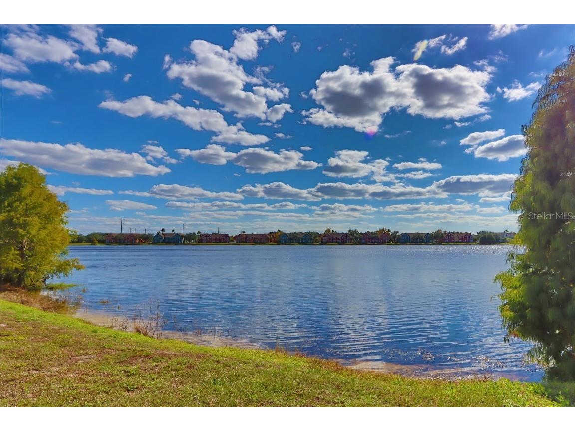 9088 Lake Chase Island Way #9088 Tampa FL 33626 TB8456334 image20
