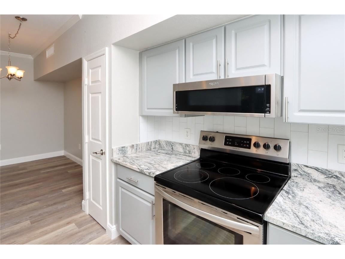 9088 Lake Chase Island Way #9088 Tampa FL 33626 TB8456334 image9