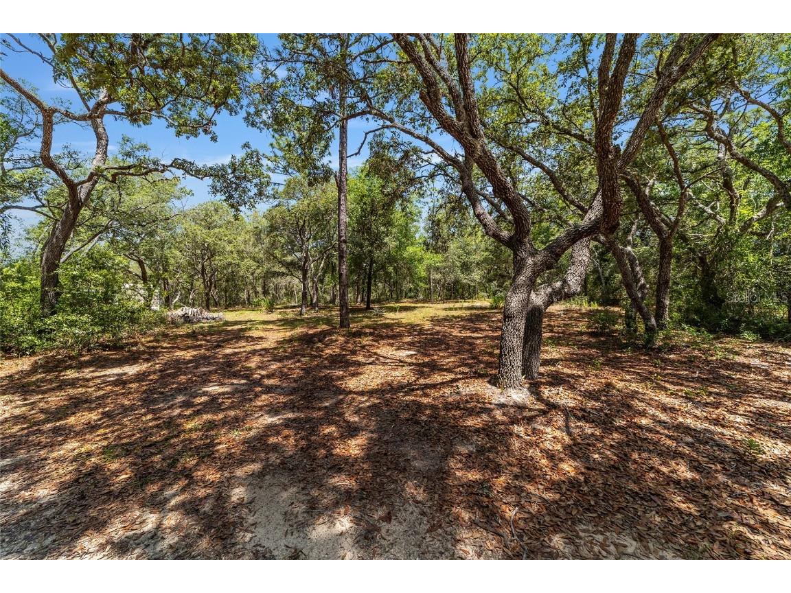 9088 S Berkshire Avenue Inverness FL 34452 TB8387037 image21