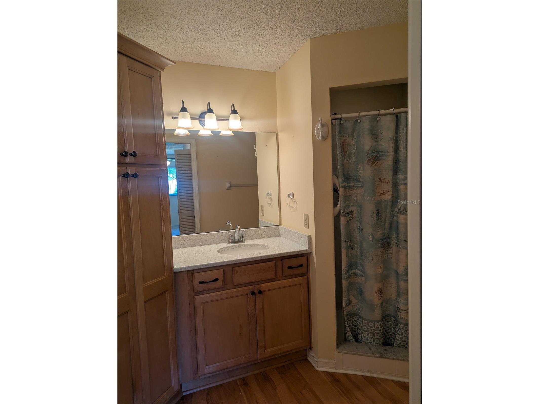 9088 SW 91st Terrace Ocala FL 34481 OM723997 image31