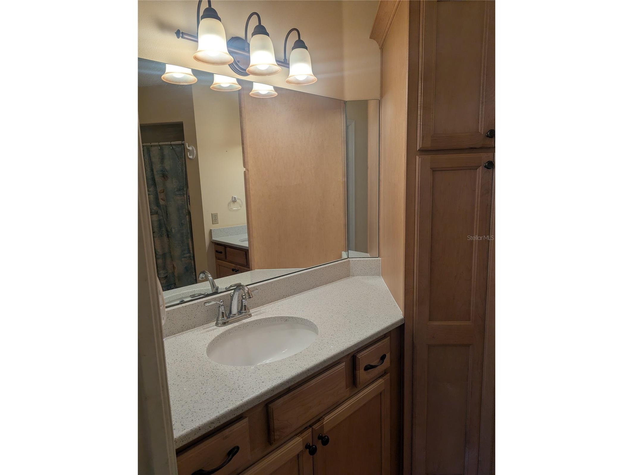 9088 SW 91st Terrace Ocala FL 34481 OM723997 image32