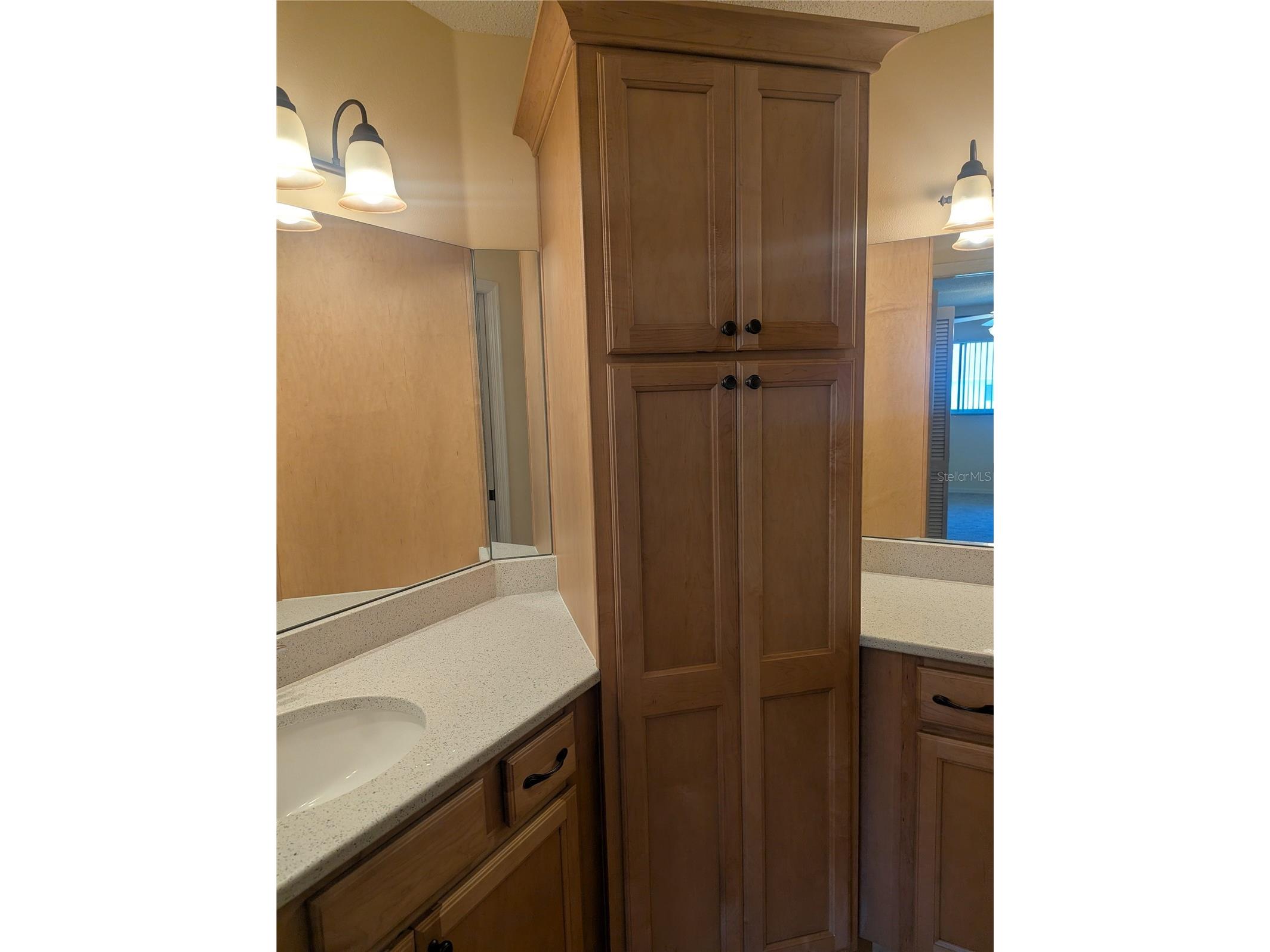 9088 SW 91st Terrace Ocala FL 34481 OM723997 image33