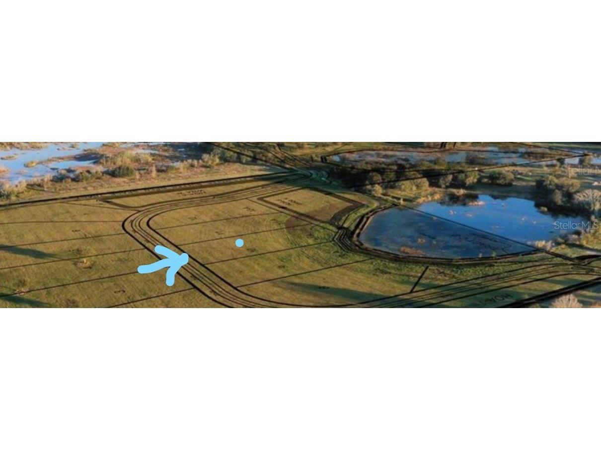 9089 Oakheart Lane Clermont FL 34711 T3383648 image1