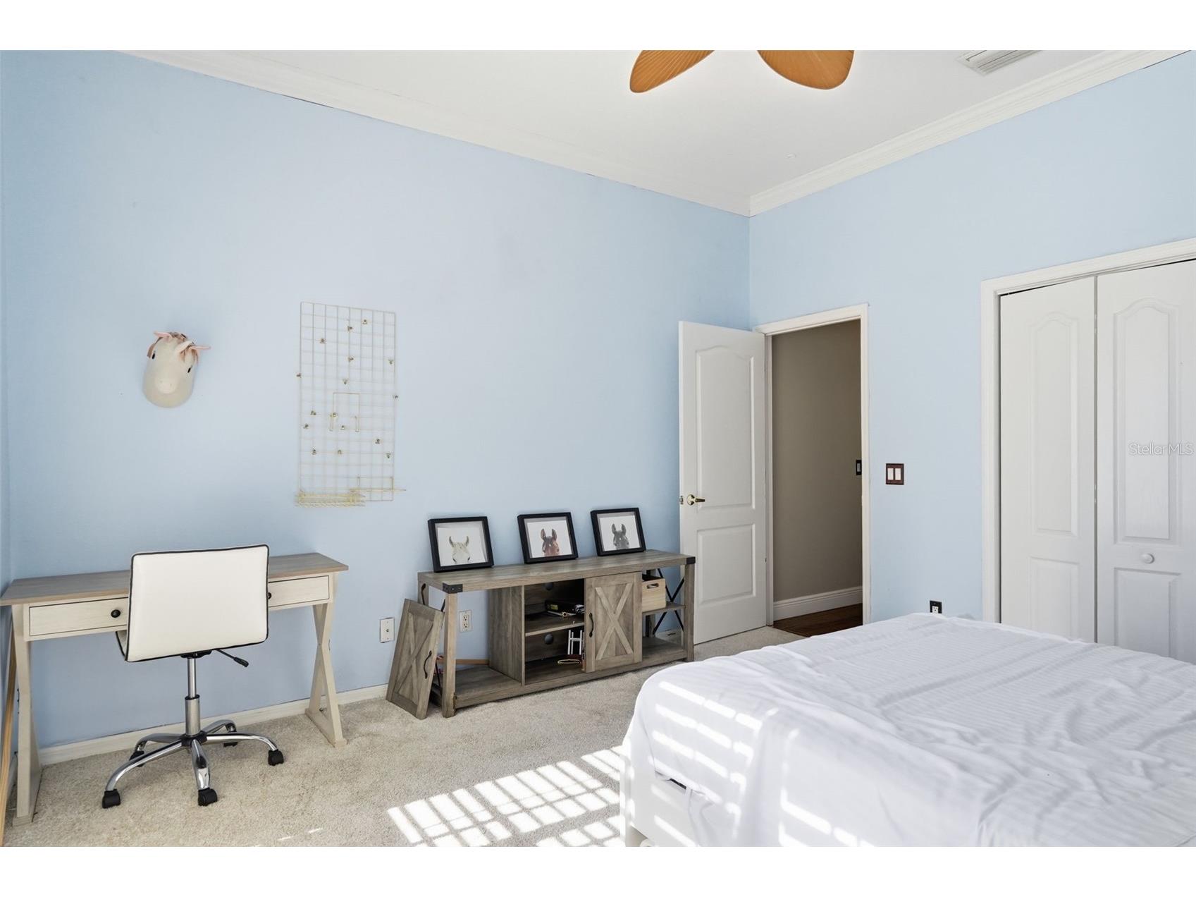 909 Allegro Lane Apollo Beach FL 33572 O6385245 image33