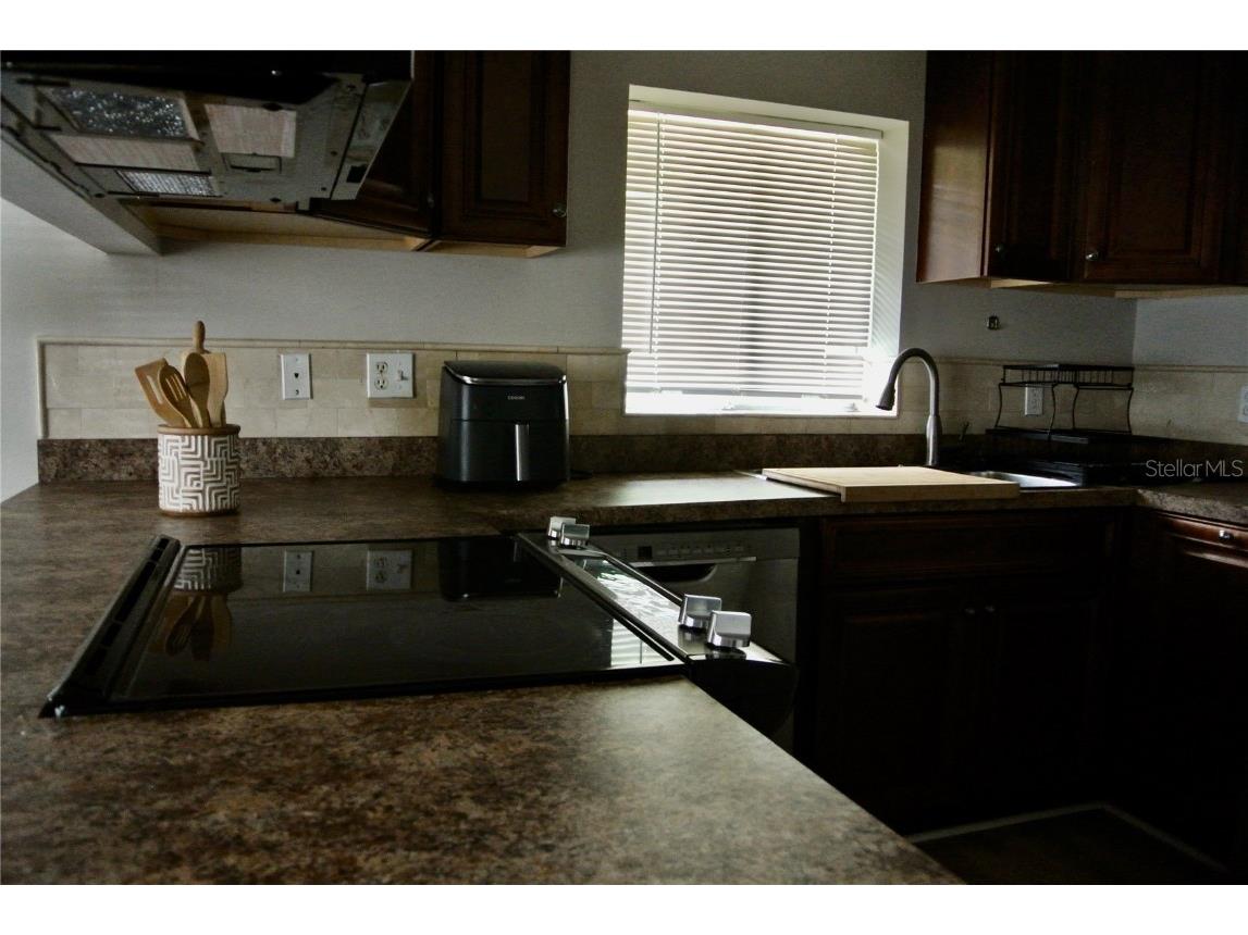 909 Buck Court Brandon FL 33511 TB8417172 image20