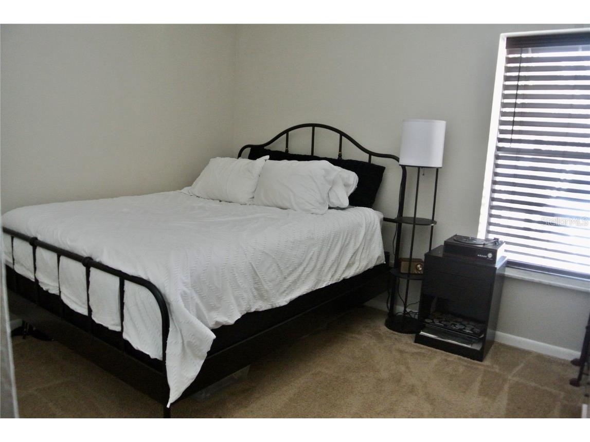 909 Buck Court Brandon FL 33511 TB8417172 image29