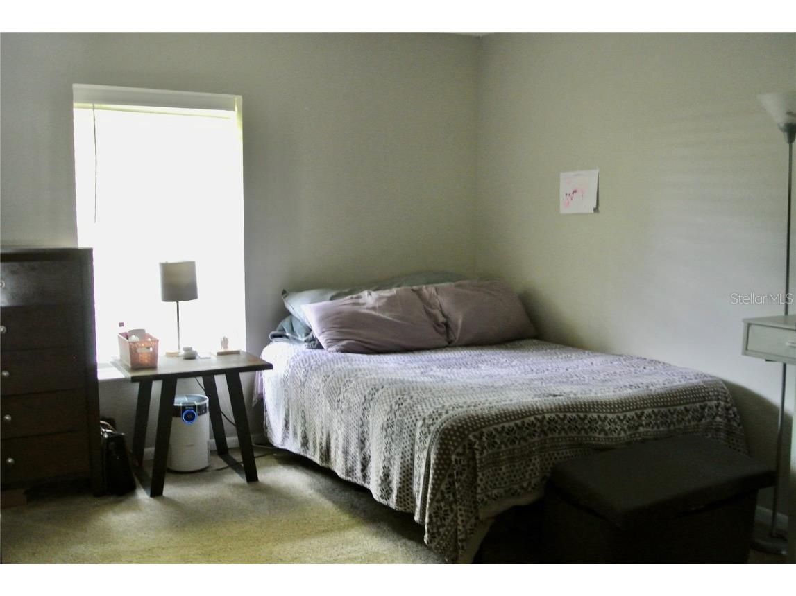 909 Buck Court Brandon FL 33511 TB8417172 image33