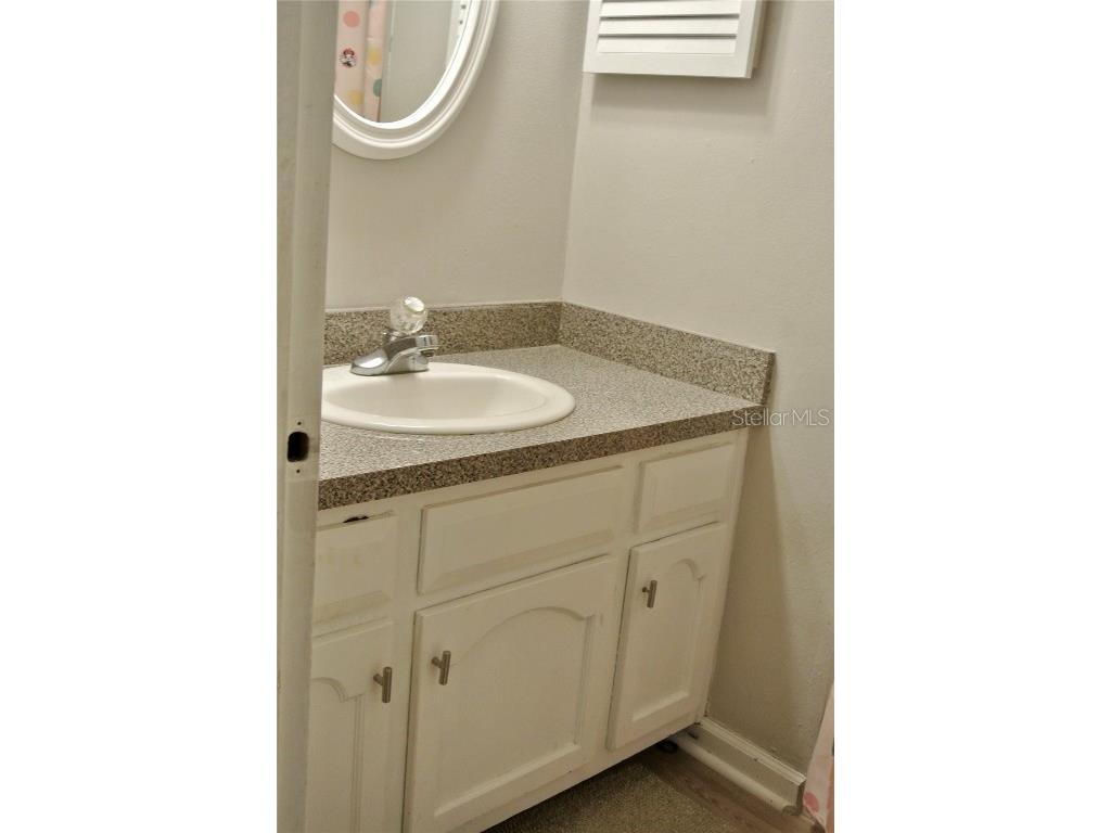 909 Buck Court Brandon FL 33511 TB8417172 image35