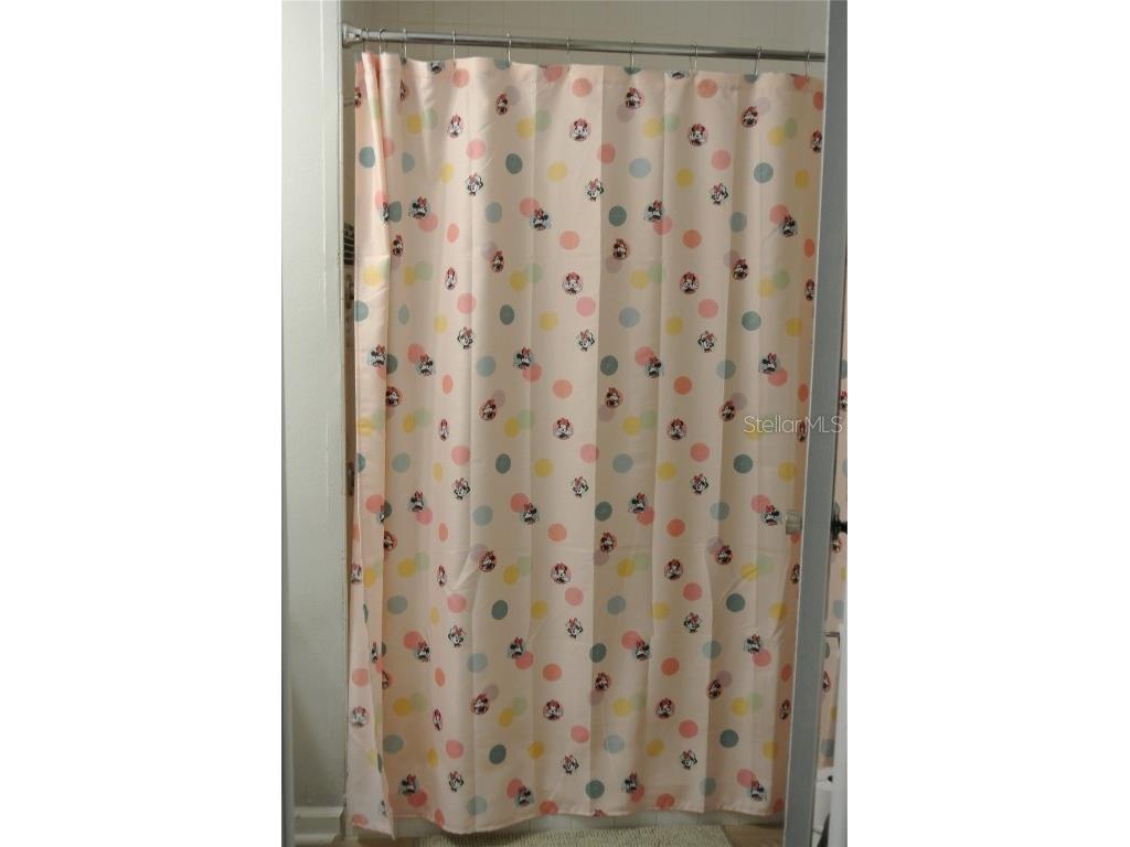 909 Buck Court Brandon FL 33511 TB8417172 image37