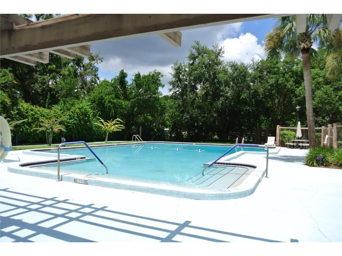 909 Buck Court Brandon FL 33511 TB8417172 image38