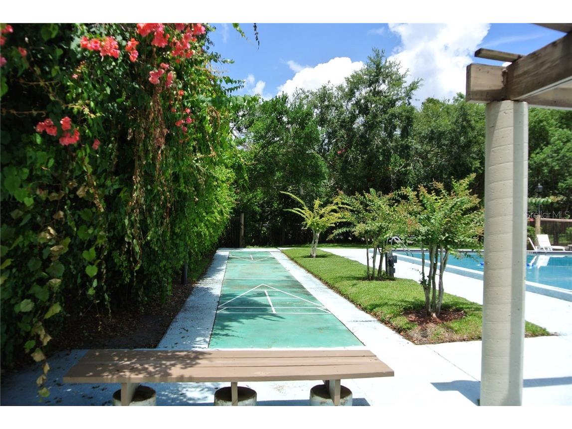 909 Buck Court Brandon FL 33511 TB8417172 image39