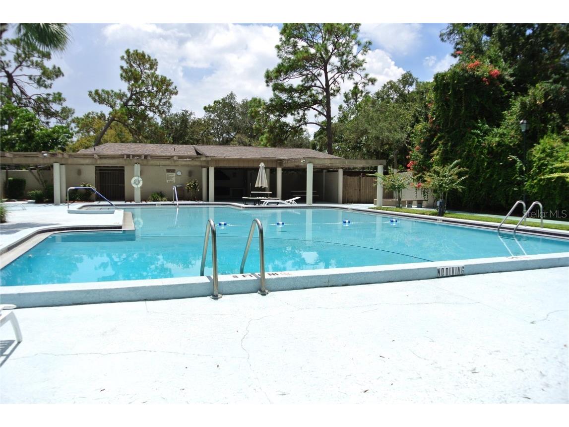 909 Buck Court Brandon FL 33511 TB8417172 image42