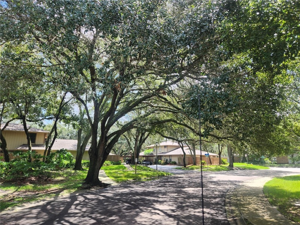 909 Buck Court Brandon FL 33511 TB8417172 image44