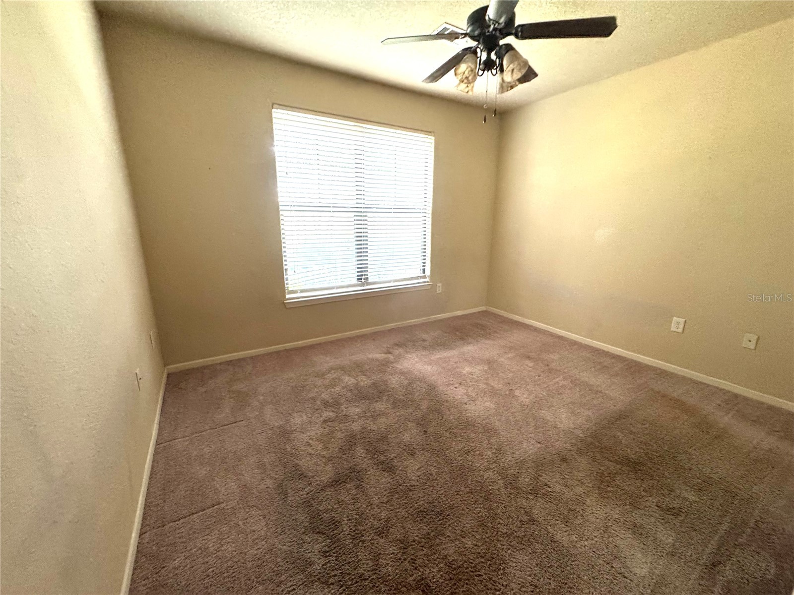 909 Charo Parkway #1016 Davenport FL 33897 S5142823 image11