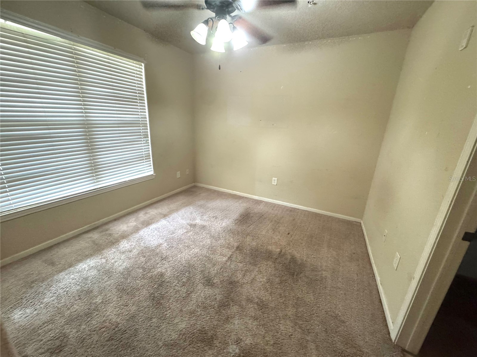 909 Charo Parkway #1016 Davenport FL 33897 S5142823 image12