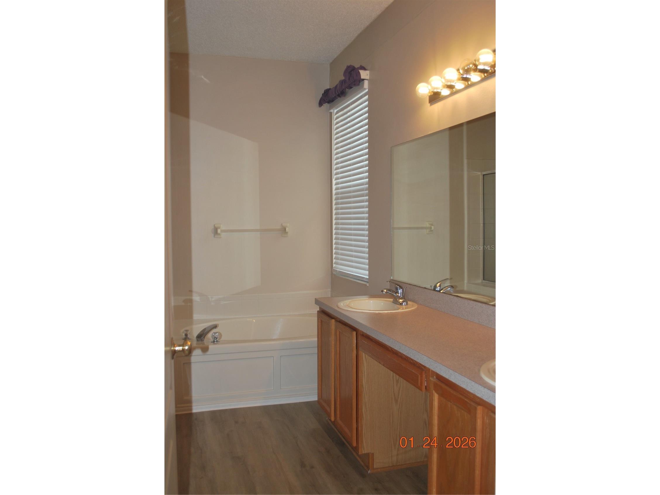 909 Grand Canyon Drive Valrico FL 33594 TB8469073 image20