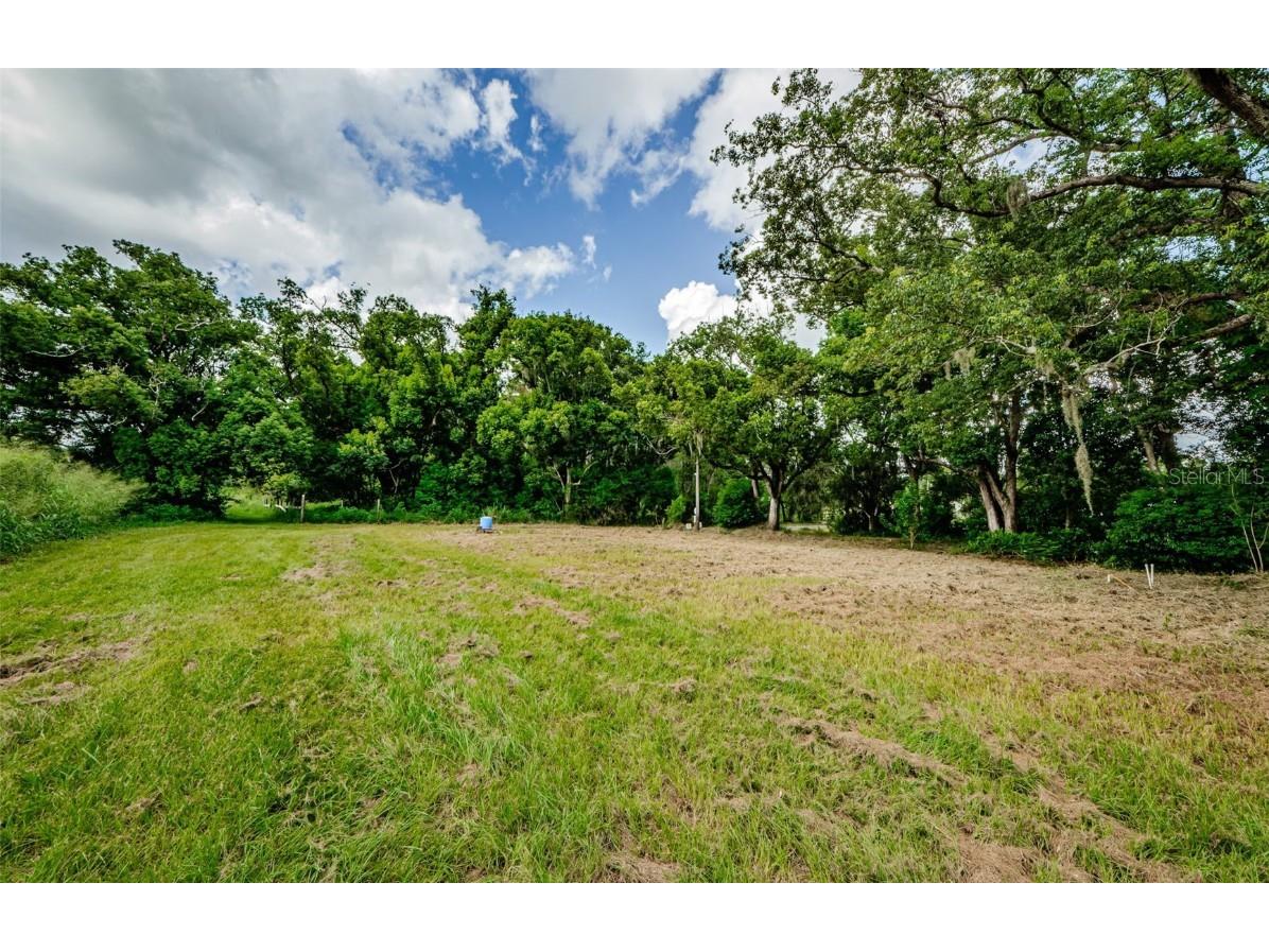 909 Grandaddy Lane Lutz FL 33548 T3544605 image1