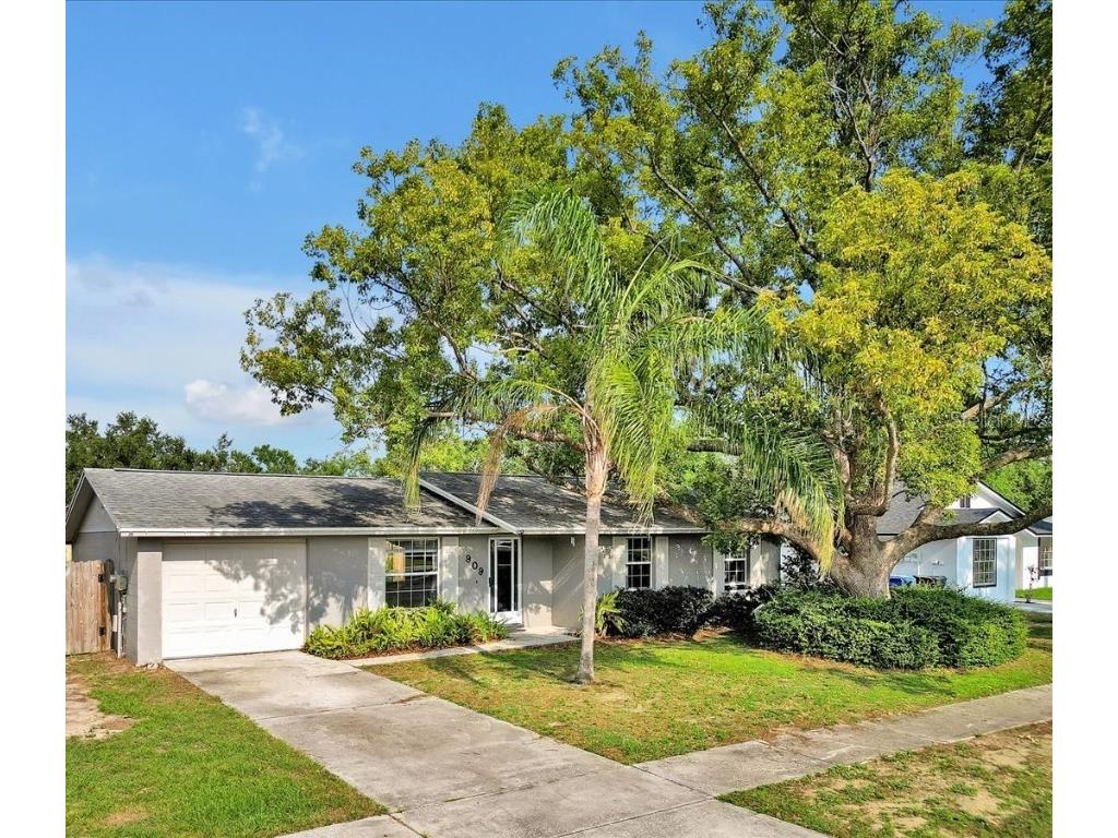 909 Kirkcaldy Way Valrico FL 33594 O6293546 image1