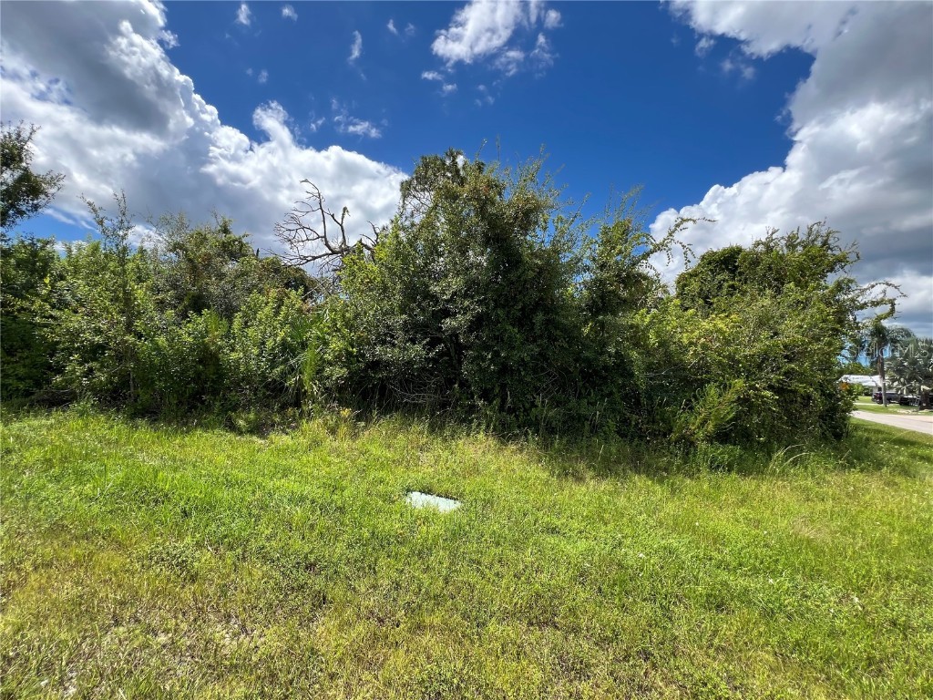 9091 Apple Valley Avenue Englewood FL 34224 D6138277 image1