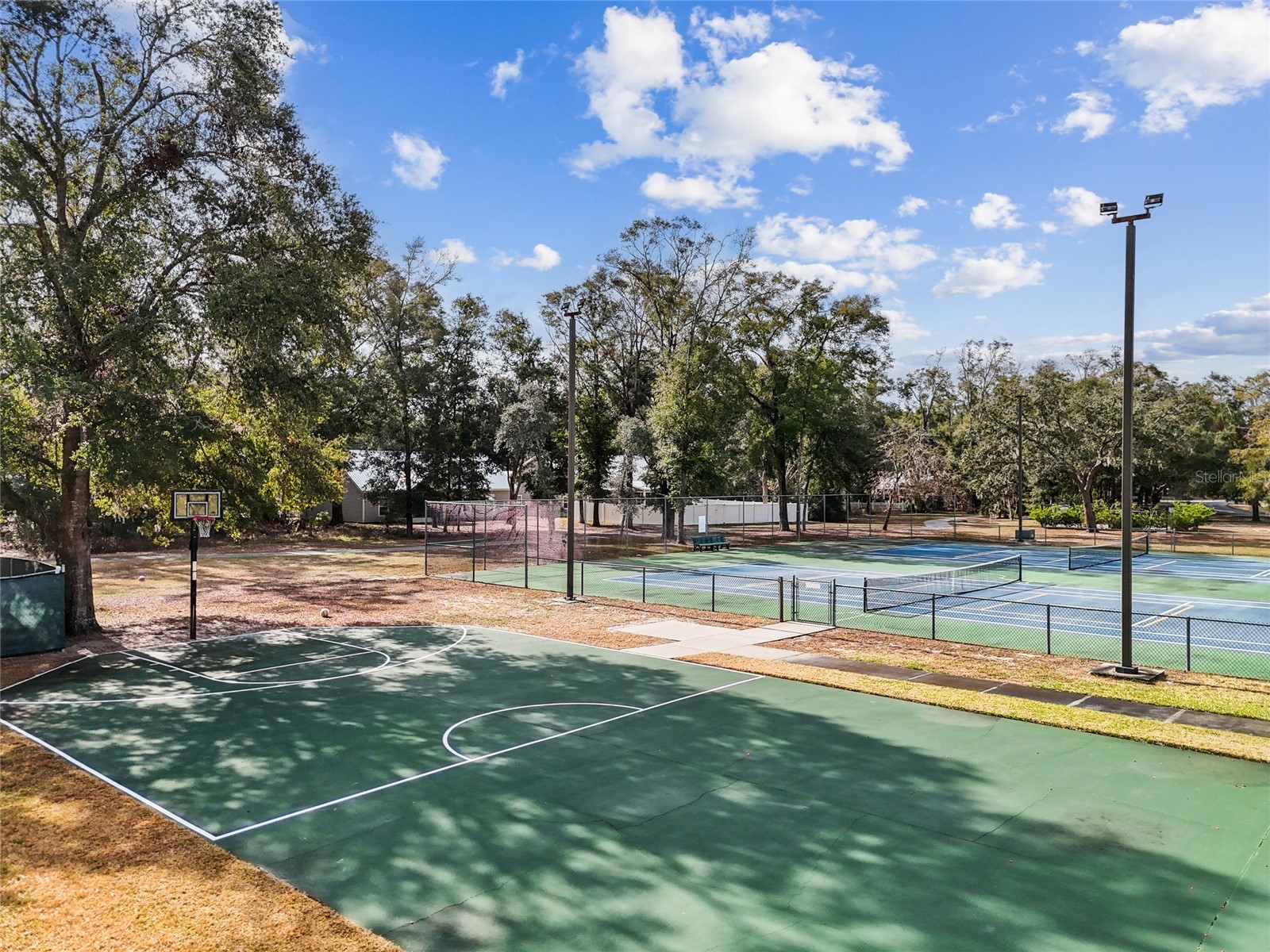 9092 Maryann Drive Fanning Springs FL 32693 GC536991 image44