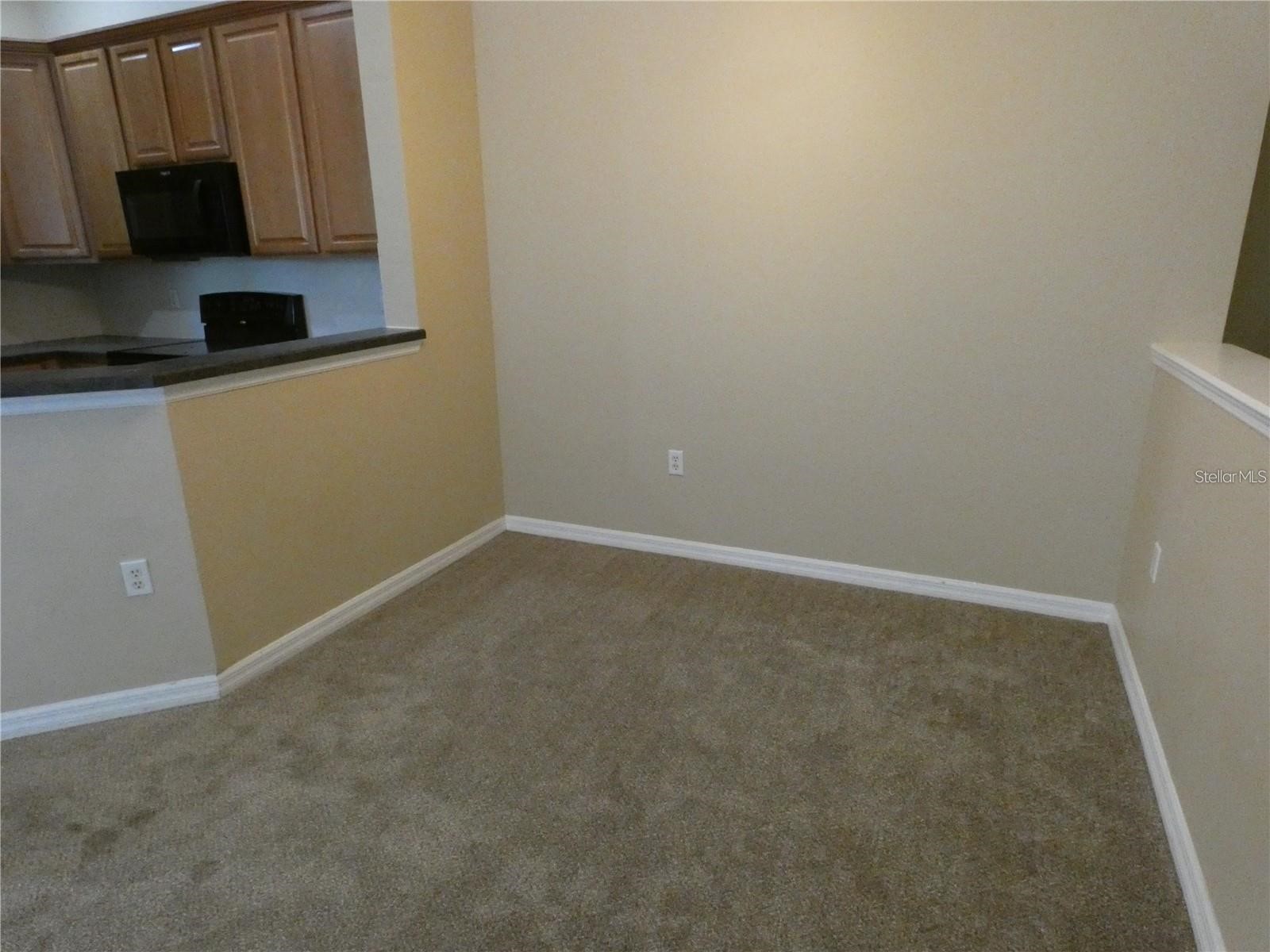 9092 Moonlit Meadows Loop Riverview FL 33578 TB8513058 image7