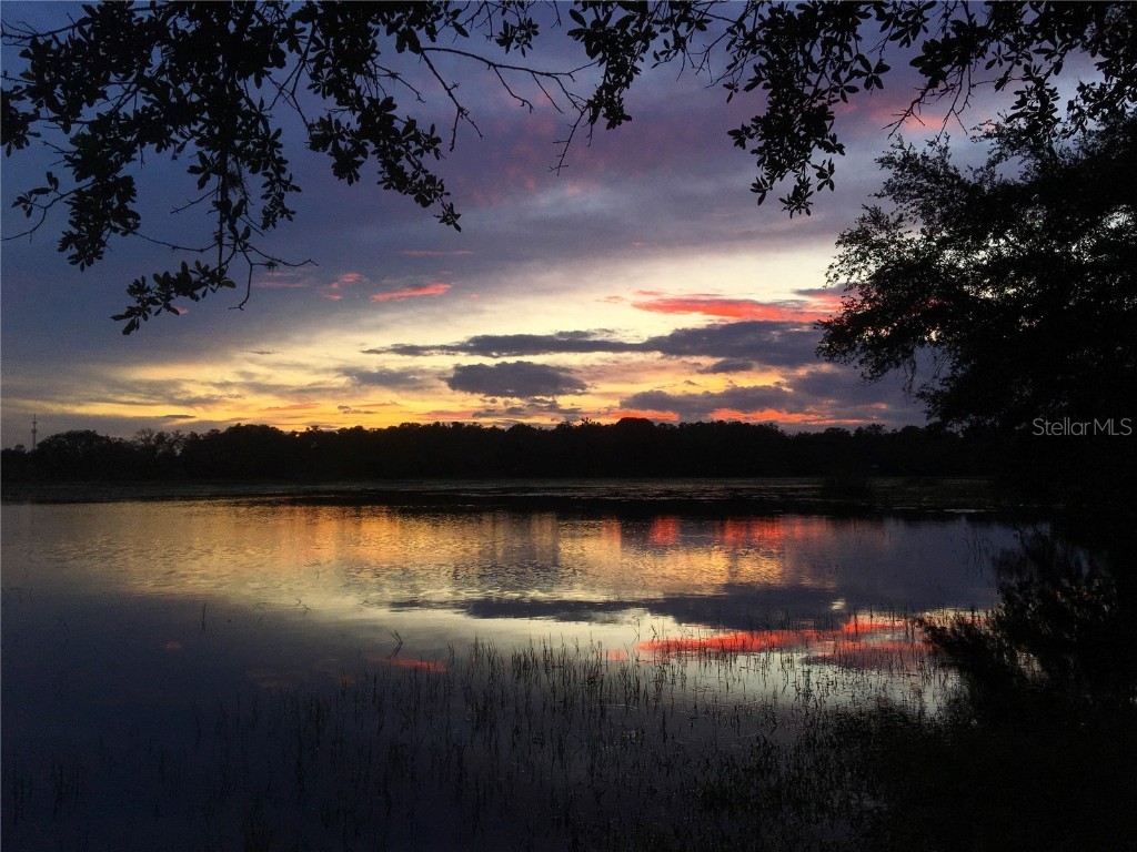 9093 E Pinehurst Court #3 Inverness FL 34450 OM707890 image4