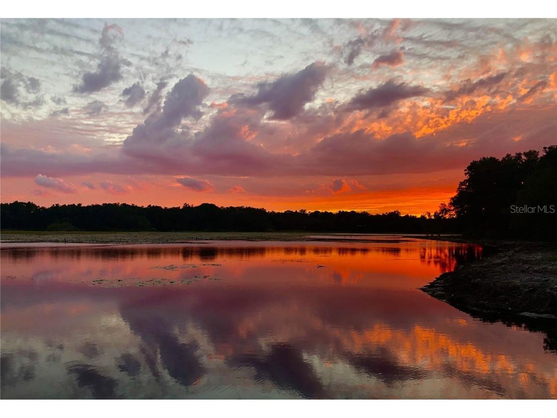 9093 E Pinehurst Court #3 Inverness FL 34450 OM707890 image93