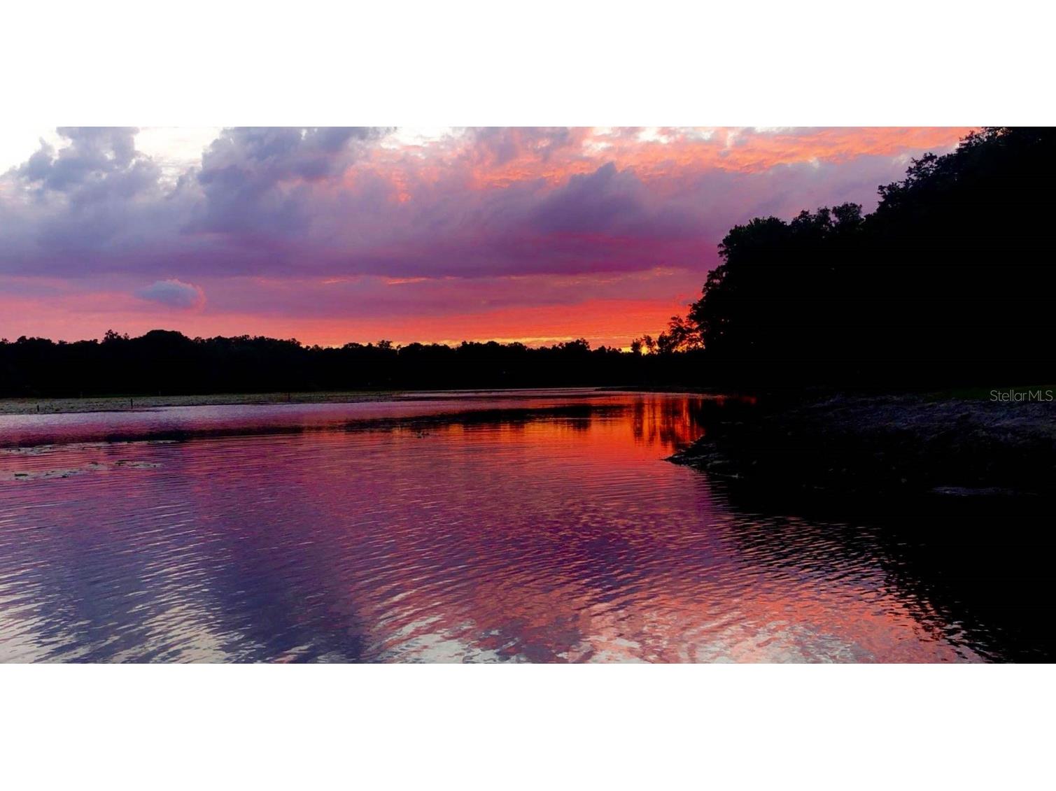 9093 E Pinehurst Court #3 Inverness FL 34450 OM707890 image94