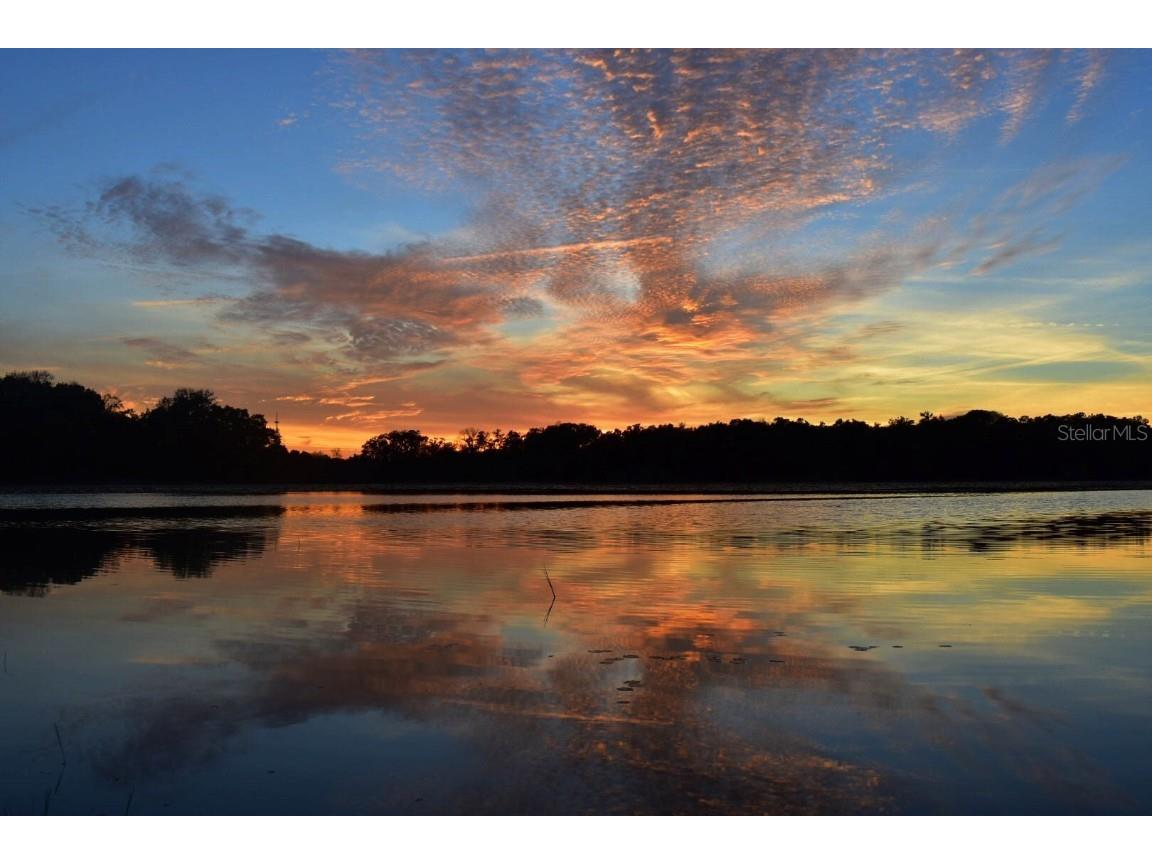 9093 E Pinehurst Court #3 Inverness FL 34450 OM707890 image95