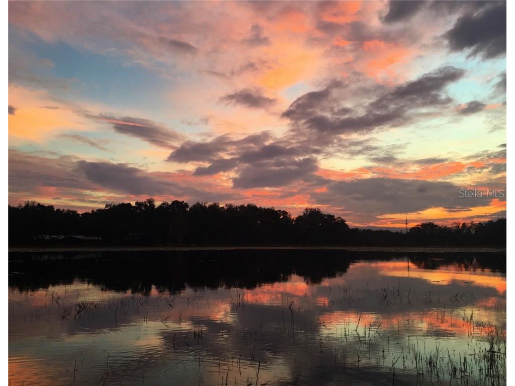 9093 E Pinehurst Court #3 Inverness FL 34450 OM707890 image96