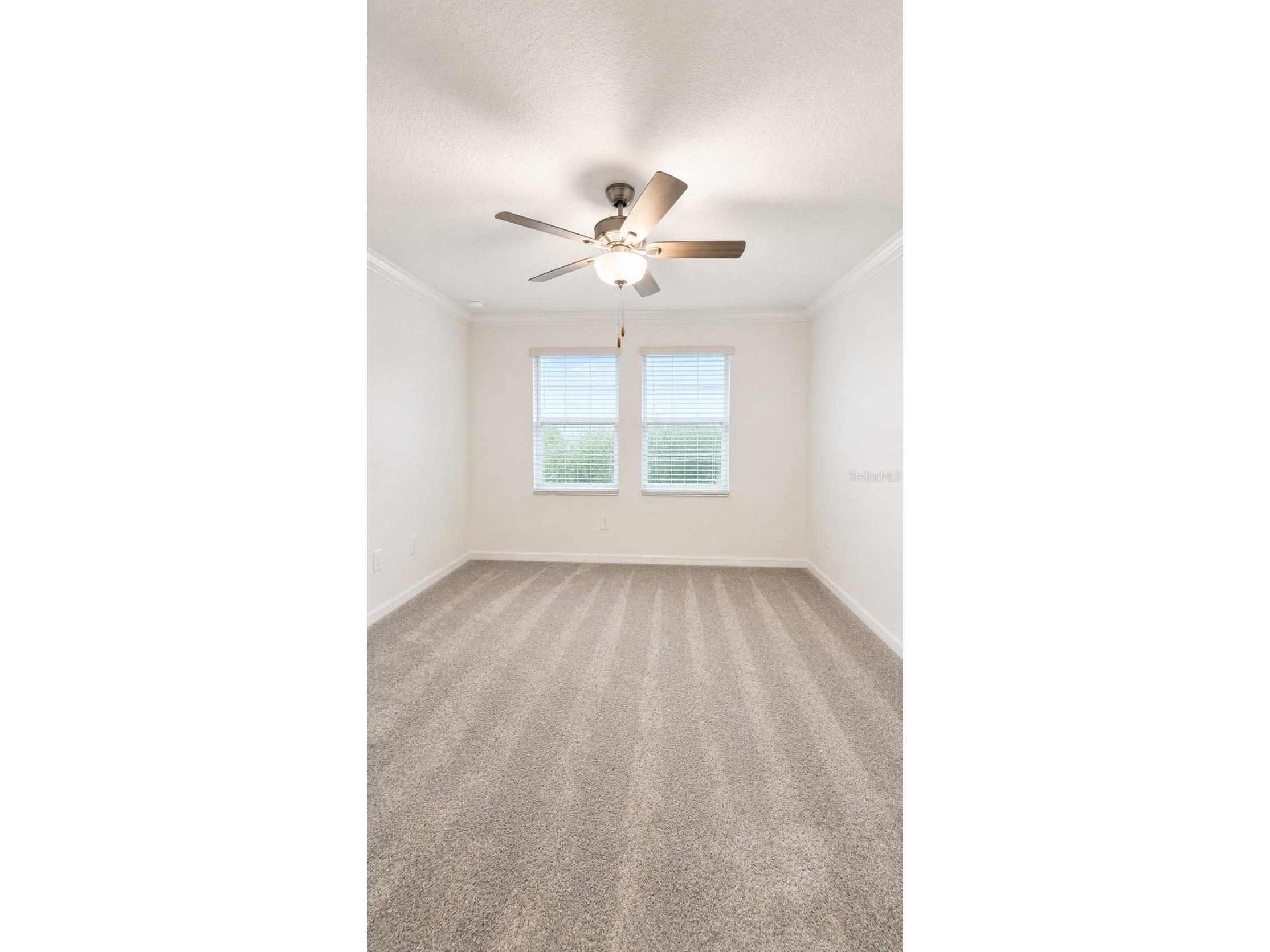 9094 Gallantree Place Land O Lakes FL 34637 TB8524447 image13