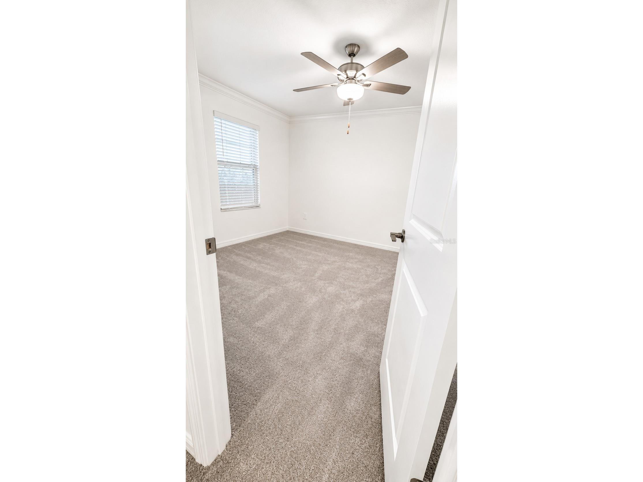 9094 Gallantree Place Land O Lakes FL 34637 TB8524447 image16