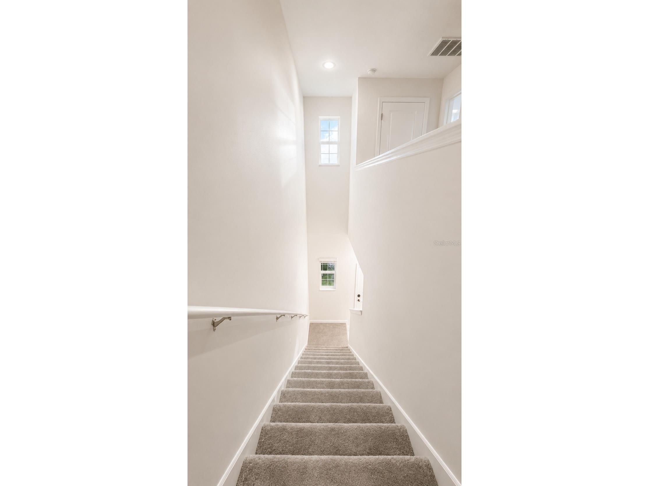 9094 Gallantree Place Land O Lakes FL 34637 TB8524447 image5