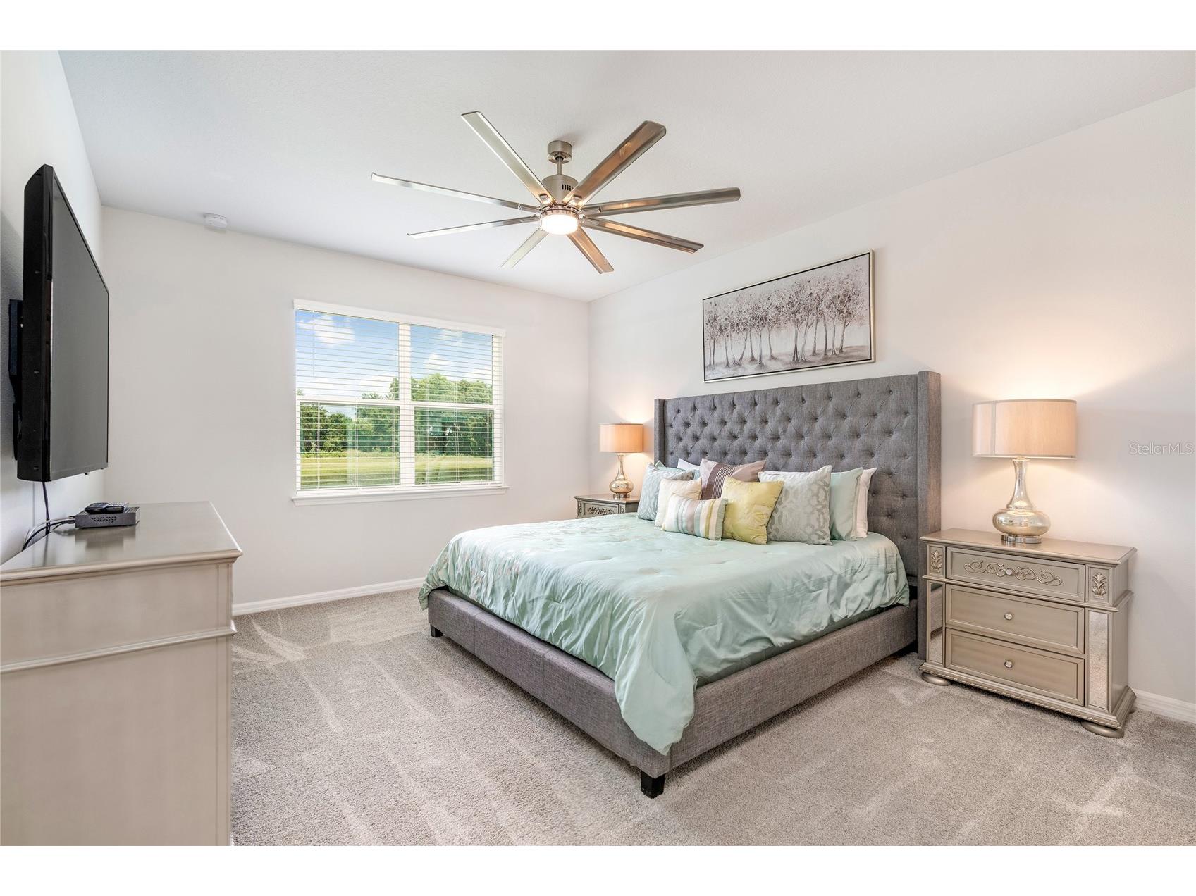 9095 Rally Spring Loop Wesley Chapel FL 33545 C7526198 image10