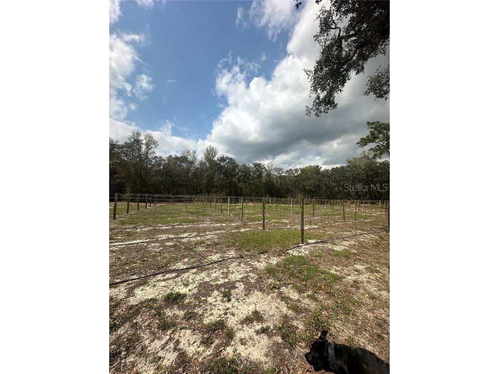9095 Realstone Drive Webster FL 33597 TB8360175 image1