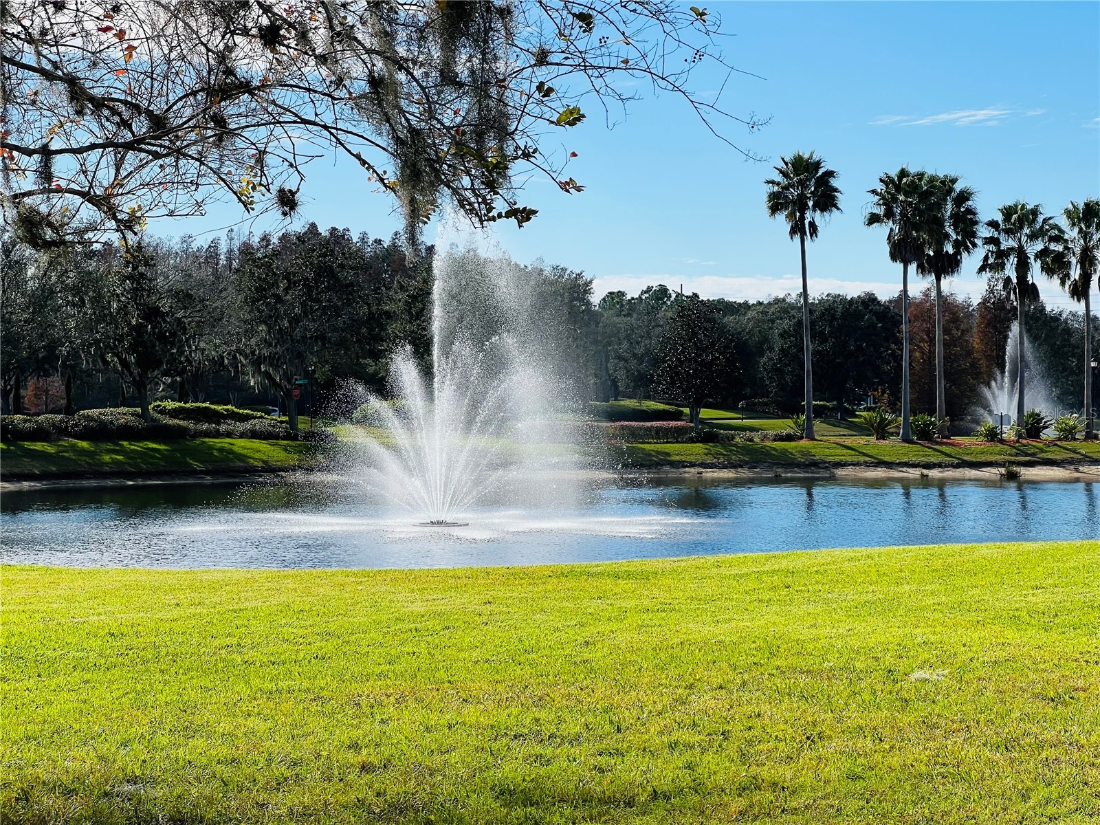 9096 Iron Oak Avenue Tampa FL 33647 TB8512926 image17
