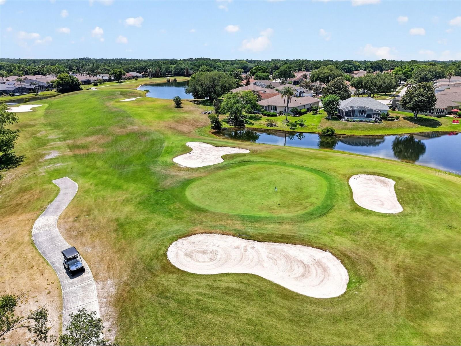 9096 Laurel Ridge Drive Mount Dora FL 32757 G5111724 image54