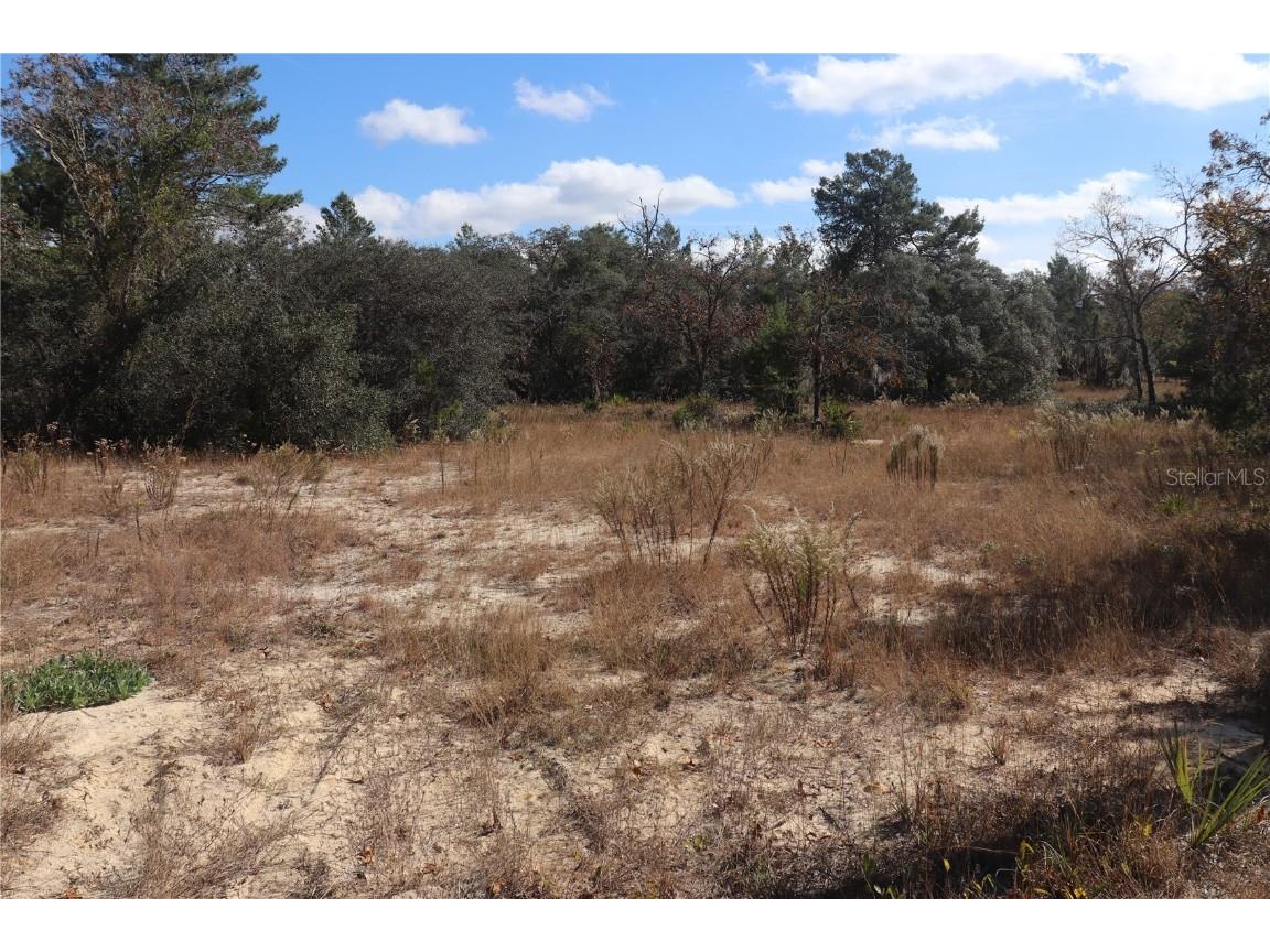 9097 N Peewee Point Dunnellon FL 34433 OM714497 image1