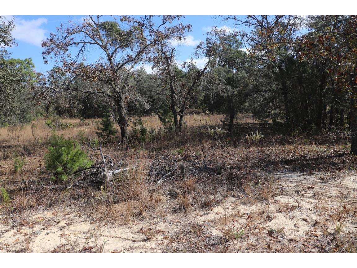 9097 N Peewee Point Dunnellon FL 34433 OM714497 image2