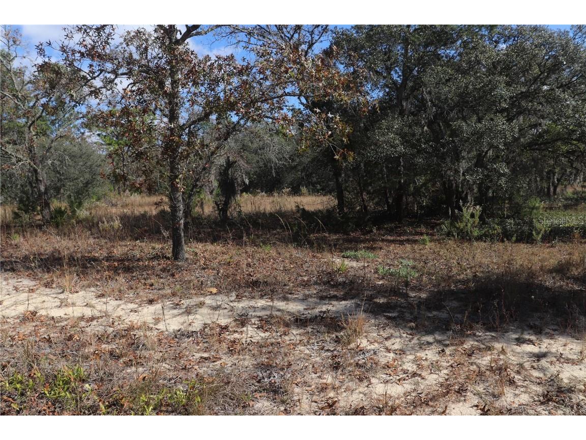 9097 N Peewee Point Dunnellon FL 34433 OM714497 image3